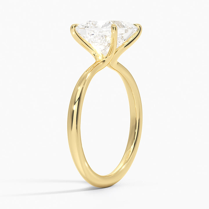 Olivia Princess Setting